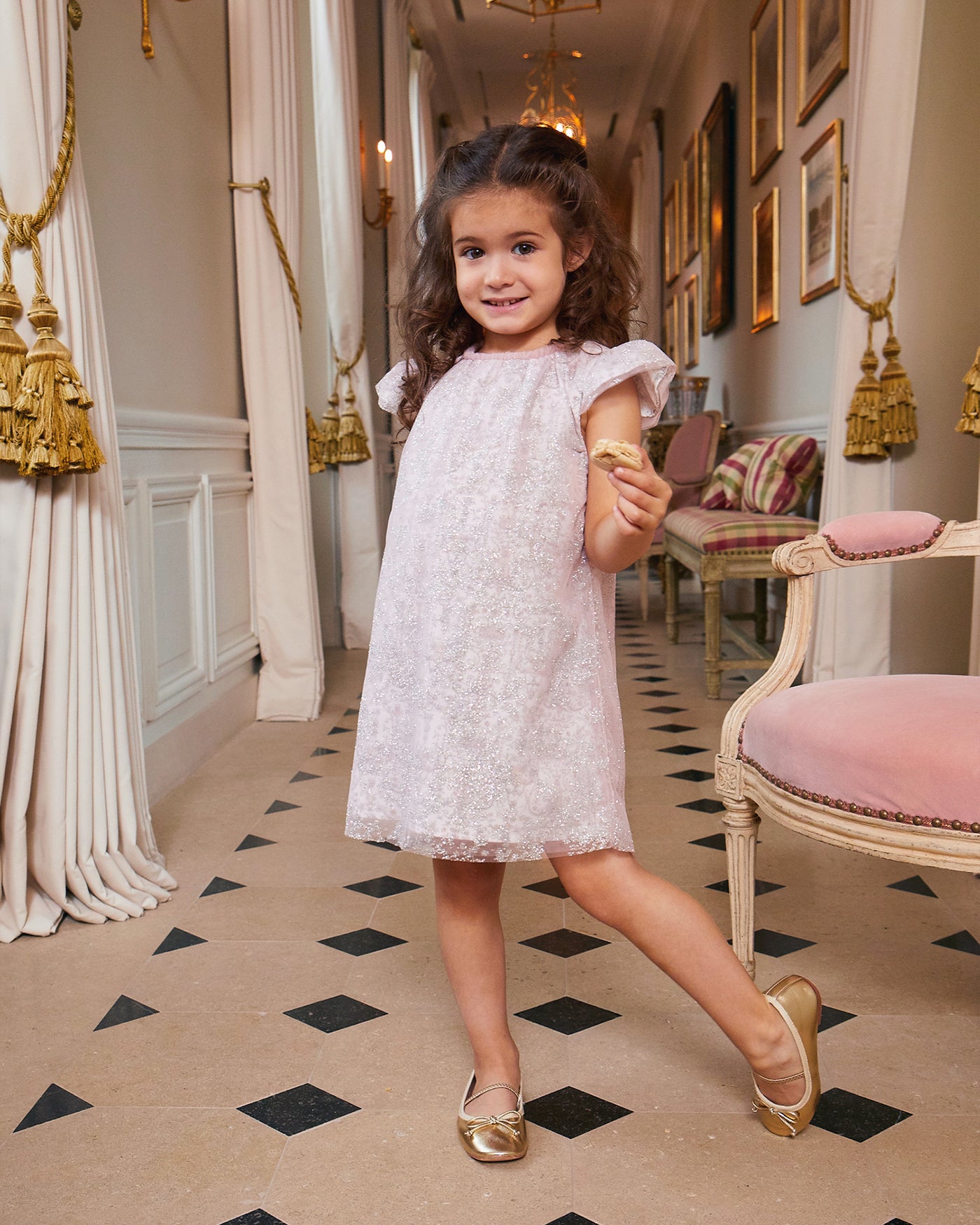 Clara Dress - Sparkly Toile de Jouy